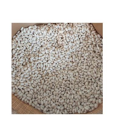 irfan legumes dry beans 3kg - Buy Online on GoSupps.com