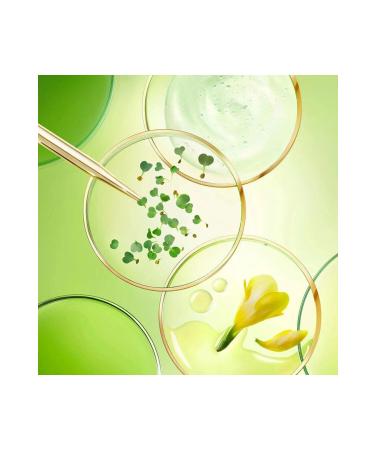 Nuxe Ultra Anti Aging Rich Cream - Ultra Anti Aging Day Cream for Dry Skin 50 ml - Buy Online on GoSupps.com