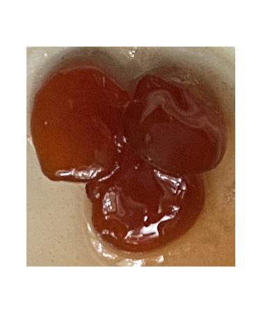 SARAYICIN Prevusta Plum Jam 300cc