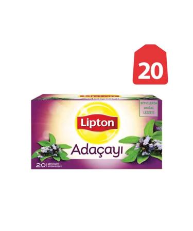ofisturka Lipton Sage Herbal Tea (Pack of 20)
