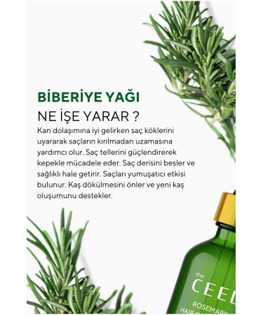 The Ceel 2-Piece Rosemary Oil Hair Care with Biotin Essence for Hair Loss and Extremely Damaged Hair 50 ml - Buy Online on GoSupps.com