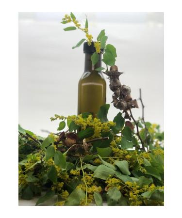 proherbal Blackthorn Extract 250 ml