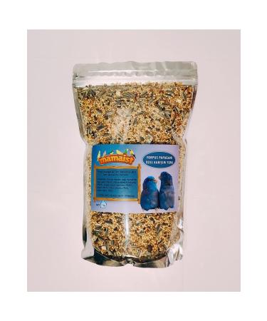 Mamasita Mamaist Forpus Parrot Food 1 Kg - Buy Online on GoSupps.com