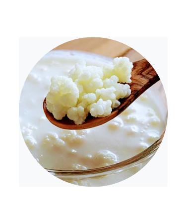 ETHICS-FARMA Special Production Organic Caucasian Milk Kefir Yeast Live Kefir Grains  - Buy Online on GoSupps.com