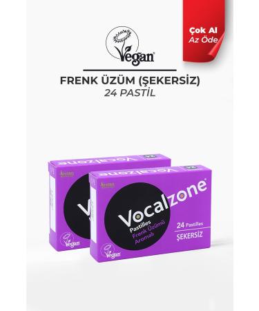 Vocalzone Blackcurrant (SUGAR FREE) Pastille 24 2-Pack