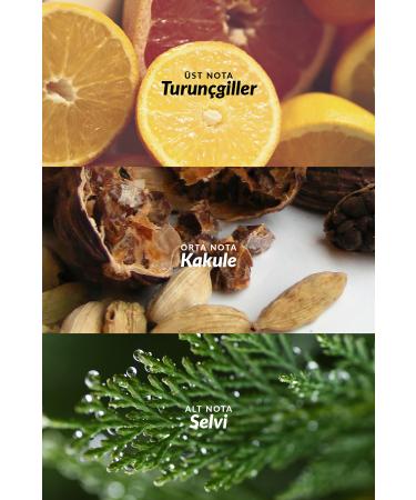 Avon Full Speed Men's Roll On 50 Ml. - Buy Online on GoSupps.com