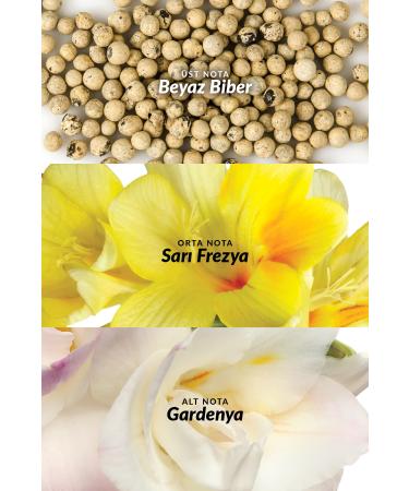 Avon Perceive Women's Body Lotion 125 Ml. - Buy Online on GoSupps.com