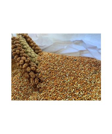 han melipetstore Sifted Red Millet from Dal Millet (sifted Red Millet) 2kg
