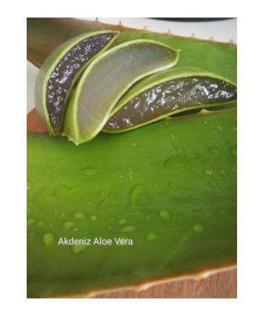 MEDITERRANEAN ALOE VERA Aloe Vera Gel - 330ml - 100% Natural - Buy Online on GoSupps.com