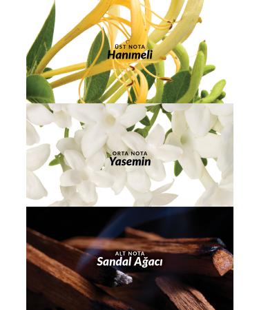 Avon Little Black Dress Women's Body Lotion 125 ml. - Buy Online on GoSupps.com