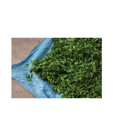 LAZIKA Lazika Orange-Bergamot Flavored Black Tea 350g - Buy Online on GoSupps.com