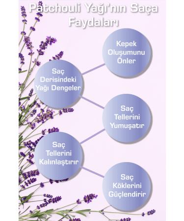 FRANO Anti-Dandruff Patchouli and Rosemary Oil Extract Paraben-Free Herbal Care Shampoo 400 ml Anti Dandruff - Buy Online on GoSupps.com