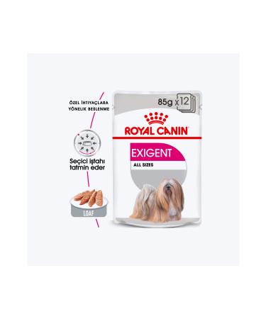 Royal Canin Ccn Exigent Loaf Wet Dog Food 85 gr 12 Pieces