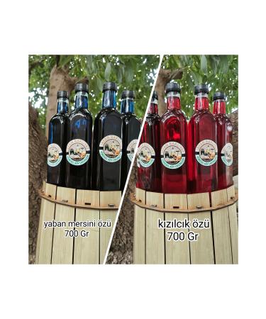 irfan bakliyat Blueberry Extract (BLUEBERRY) Cranberry Extract 2*700 gr