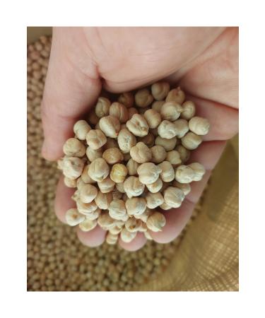 irfan legumes Chickpeas 10 Kg (FAST COOKED) - Buy Online on GoSupps.com