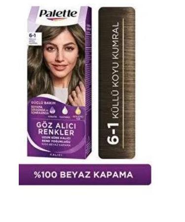 Eye-Catching Colors in the Palette No:6/1 Ash Dark Blonde