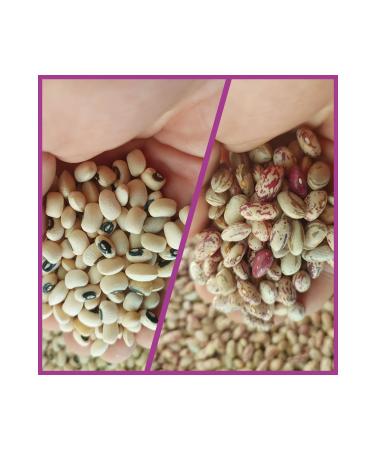 irfan legumes Black Eyed Peas 5 Kg Kidney Beans 5 Kg Net 10 Kg - Buy Online on GoSupps.com