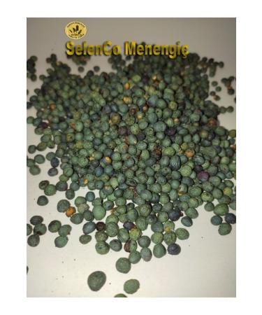 SelenCo Ork y- Edible and Coffee Oiled Pistachio 500 gr - Buy Online on GoSupps.com