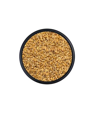 Kanatl Shop Konya Durum Wheat 1st Class Bird Food 10 KG
