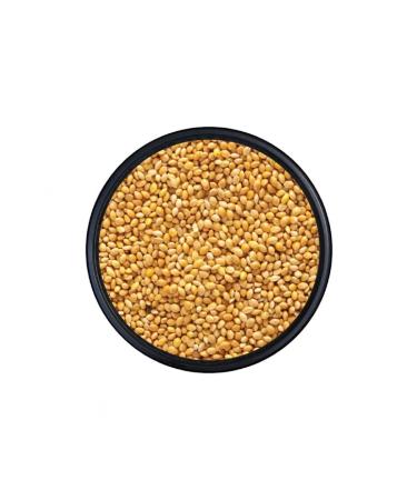 Kanatl Shop White Bud Millet 10 KG