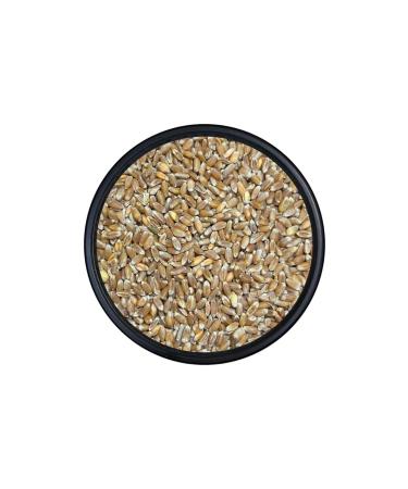 Kanatl Shop Eski ehir Bezosto Black Wheat Bird Food 5 KG