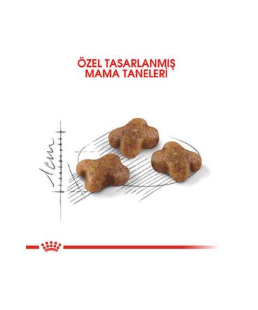Royal Canin Kitten Kitten Food 400 gr - Buy Online on GoSupps.com