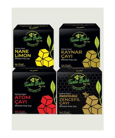 TanlaBaba Winter Package Cube Tea 4 Pack Atom Ginger Mint Lemon Boiling Tea Herbal Tea 170gr