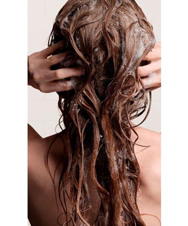 Aveda Botanical Repair Repair Shampoo for Damaged Hair 1000ml configurator - Buy Online on GoSupps.com