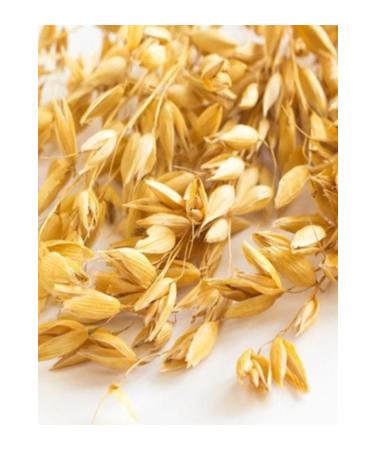 CAPPADOCIA Oatmeal SPECIAL 12-PIECE BOX (12 x 500GR) - Buy Online on GoSupps.com