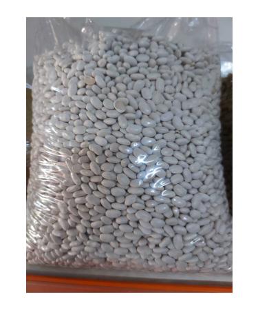 ENGIN Beans 5kg Organic Dry Beans
