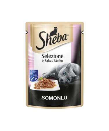 SHEBA Pouch Canned Cat Food with Salmon 85 gr 12 Pieces - Buy Online on GoSupps.com