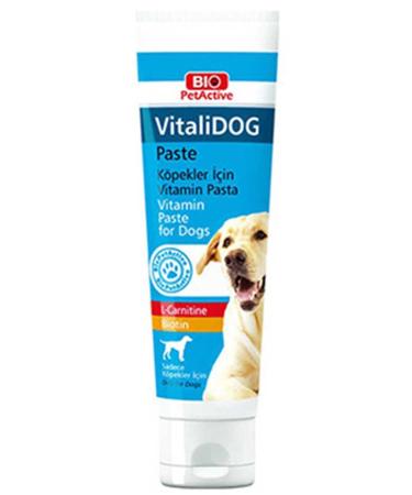 PetActive Vitalidog Vitamin for Dogs Paste 100 ml New Model 614822