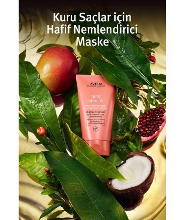 Aveda Nutriplenish Treatment Masque Light Moisture-For Dry or Very Dry Hair 150ml/5fl.oz