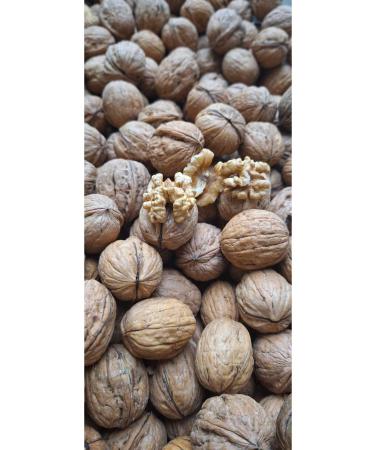 Hcz Food Shelled Walnuts 1000 gr.