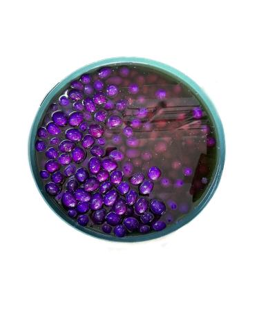 DUMAN GURME Blueberry Breakfast Kalamata Olives 140 -160 Klb 5 Kg - Buy Online on GoSupps.com