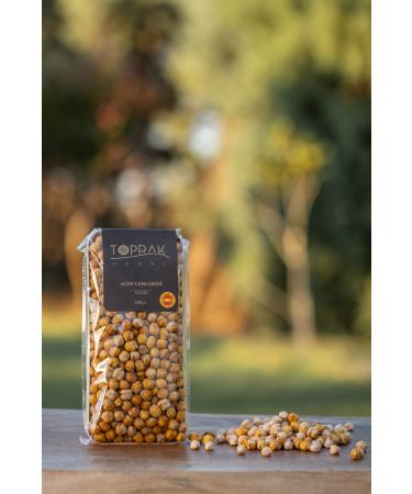 Earth Natural Agin Chickpea Economical Set of 3 - Agin Chickpea - Roasted Chickpea in Sand - Buy Online on GoSupps.com