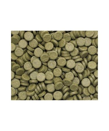 han melipetstore Greenhouse Glass Sticking Tablet Food for Aquarium Fish 50 Pieces (Trial Package) - Buy Online on GoSupps.com