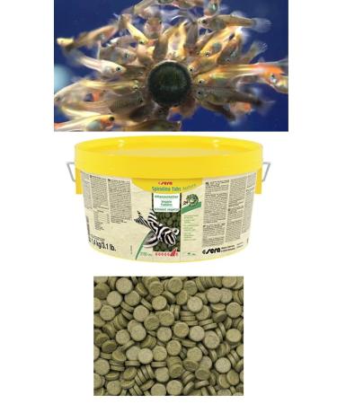 han melipetstore Greenhouse Glass Sticking Tablet Food for Aquarium Fish 50 Pieces (Trial Package)