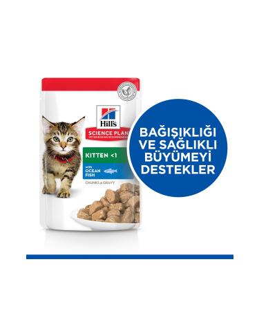 Hill's SCIENCE PLAN Ocean Fish Kitten Pouch 12X85g - Buy Online on GoSupps.com