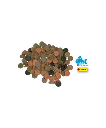 At l m Aquarium Glass Sticking Tablet Food Mix for All Aquarium Fish 50 Pieces - Buy Online on GoSupps.com
