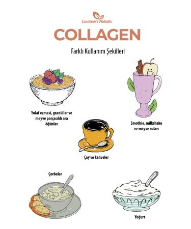 GARDENERS NUTRALIV Gardener's Nutraliv Collagen Peptide I 2 3 Aminoside Vitamin and Mineral Containing Supplementary Food - Buy Online on GoSupps.com