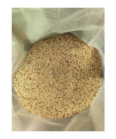 Prochef 5 Kg Budgie Food & Mixed Food