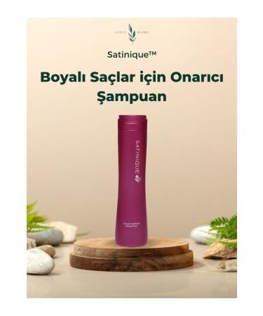 Amway Color Repair Shampoo Satinique