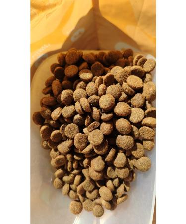 Prochef 5 Kg Gourmet Dog Dry Food & Lamb Salmon Chicken and Steak Food