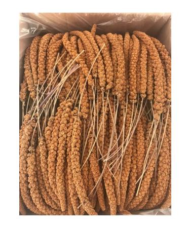 Pause Budgie Food Millet 1 Kg