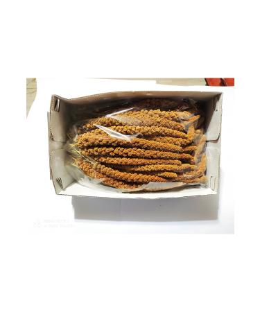 Pause Budgie Food Millet 1 Kg - Buy Online on GoSupps.com