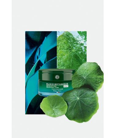 Yves Rocher NIGHT CREAM - ANTI-AGING HERBAL ANTIOXIDANT CARE-ELIXIR BOTAN QUE-50 ML KEYON1225 - Buy Online on GoSupps.com