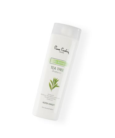 Pierre Cardin Aura Botanica Tea Tree Essence Shampoo - Buy Online on GoSupps.com
