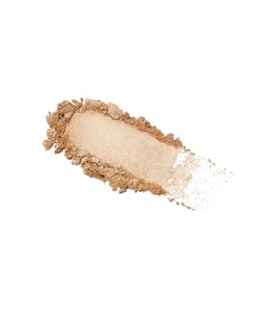 Anastasia Beverly Hills Glow Seeker Highlighter Illuminator - Buy Online on GoSupps.com
