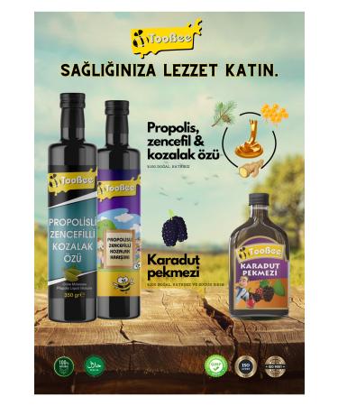 TooBee Propolis Ginger Cone Mix 350 gr - Buy Online on GoSupps.com